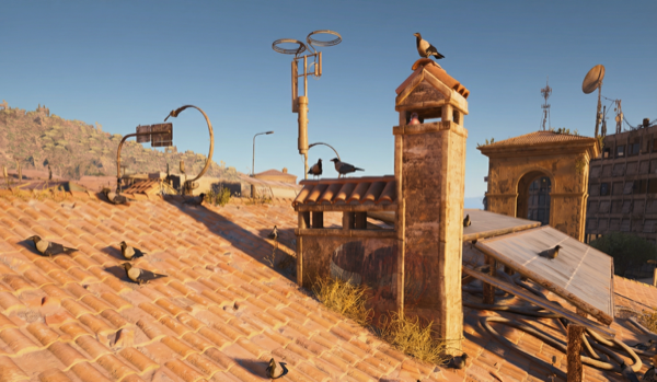 Bird City