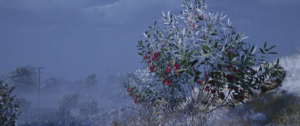Cold Snap
