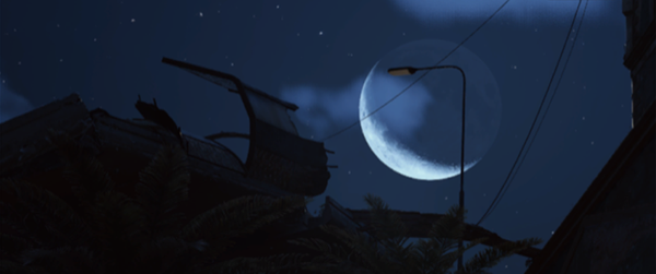 Night Raid