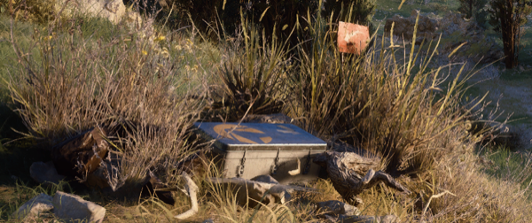 Uncovered Caches