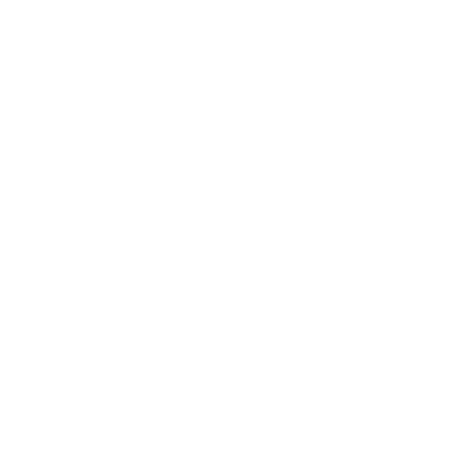 Electromagnetic Storm